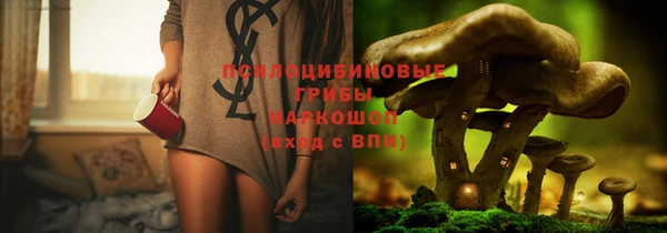 винт Балахна