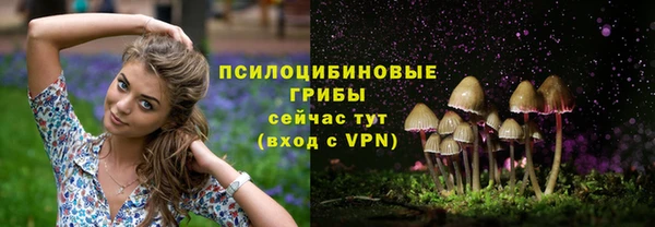 винт Балахна