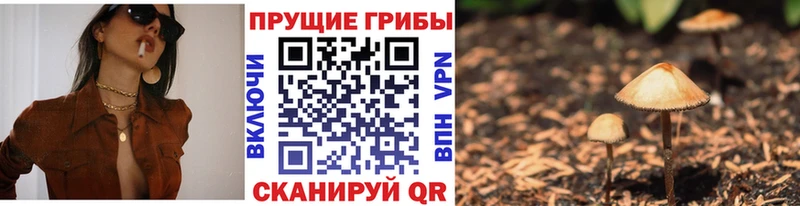 наркошоп  Вилюйск  Псилоцибиновые грибы Magic Shrooms 